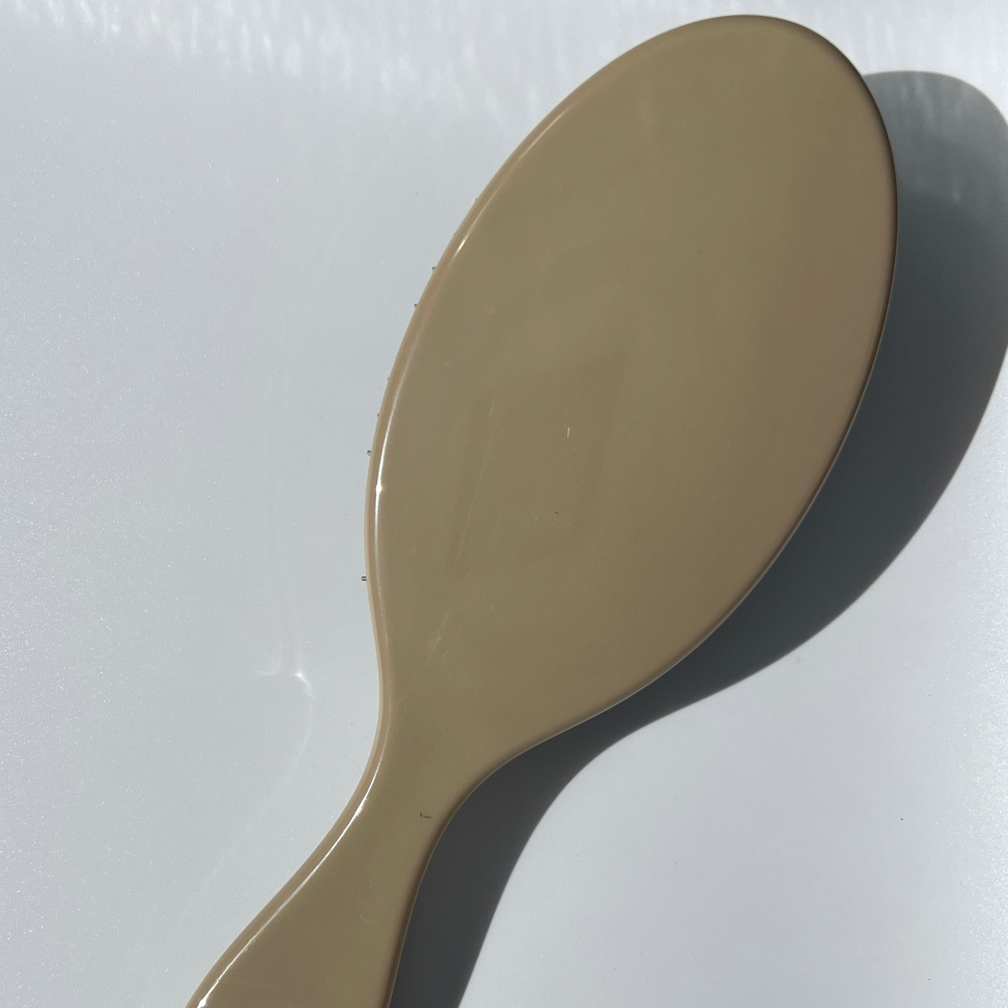 THE MANE BRUSH